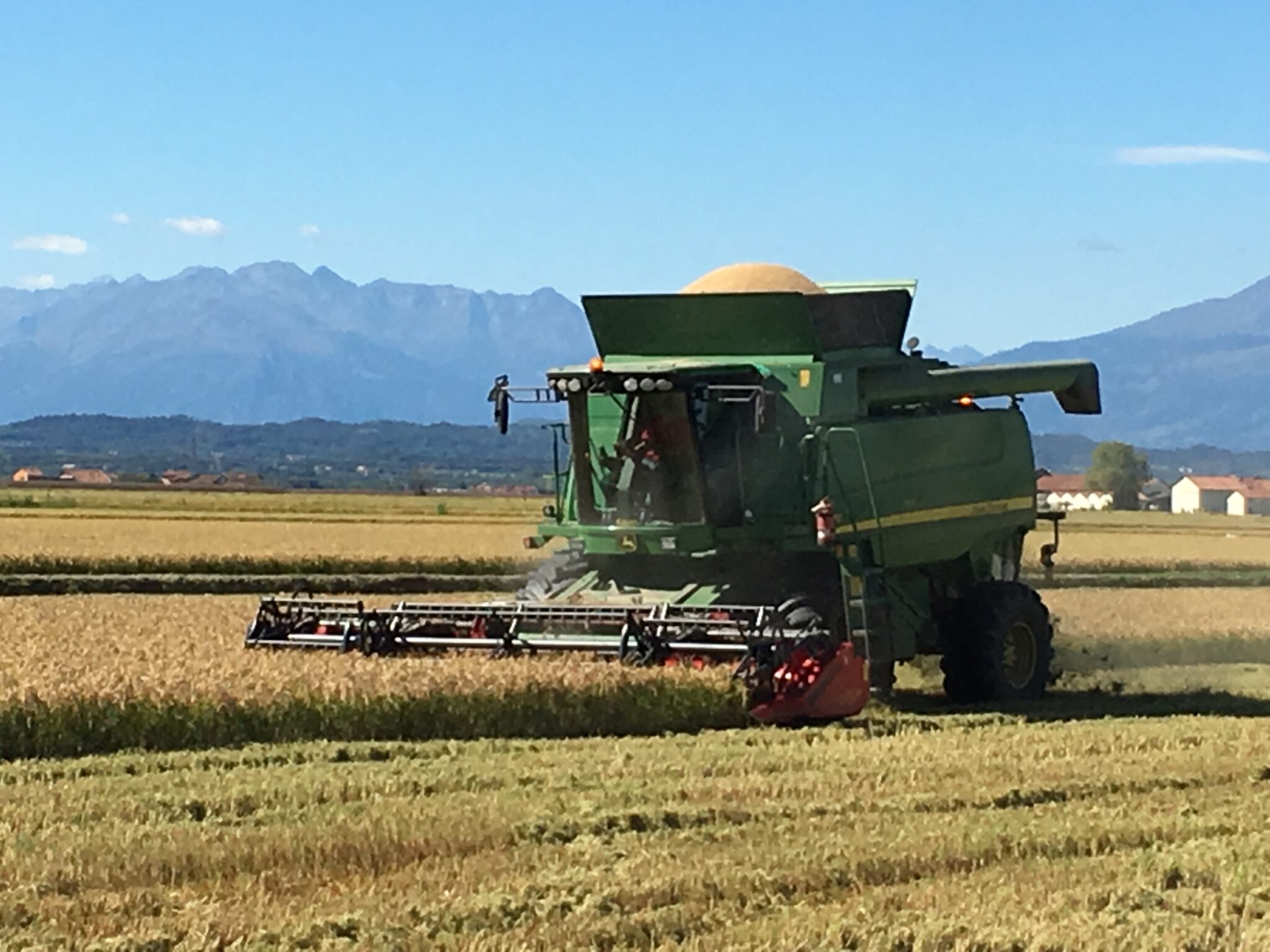 Azienda Agricola Bor - Sulla vostra tavola