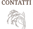 Contatti