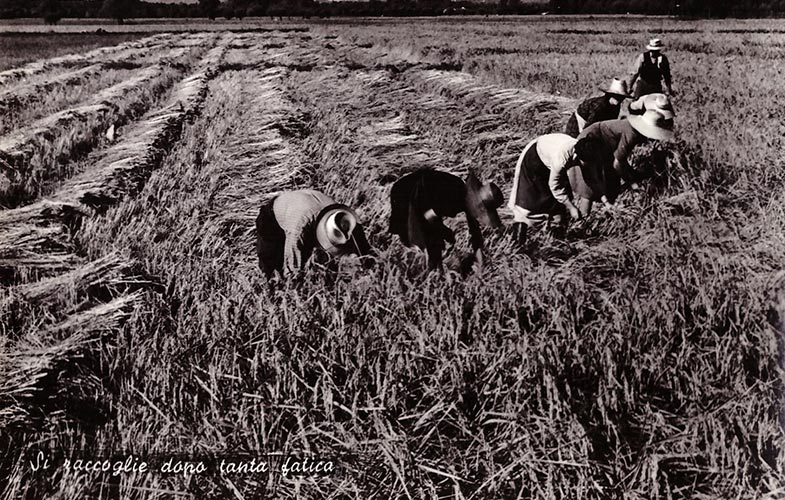 Azienda Agricola Bor - Sulla vostra tavola