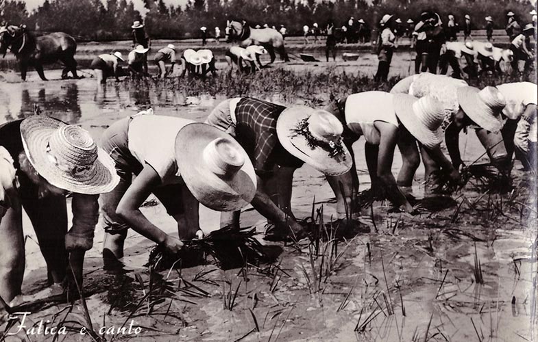 Azienda Agricola Bor - Sulla vostra tavola